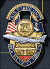 USAF Millenium lapel pins