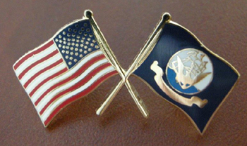 Navy Crossed Flag Pins