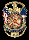 Virginia Fire and Rescue lapel pin